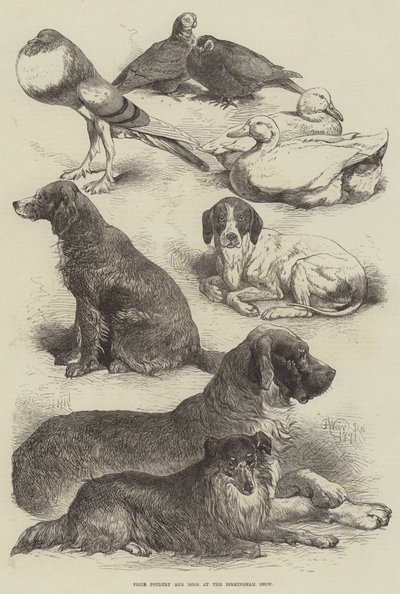 Prijsgevogelte en honden op de Birmingham Show door Harrison William Weir